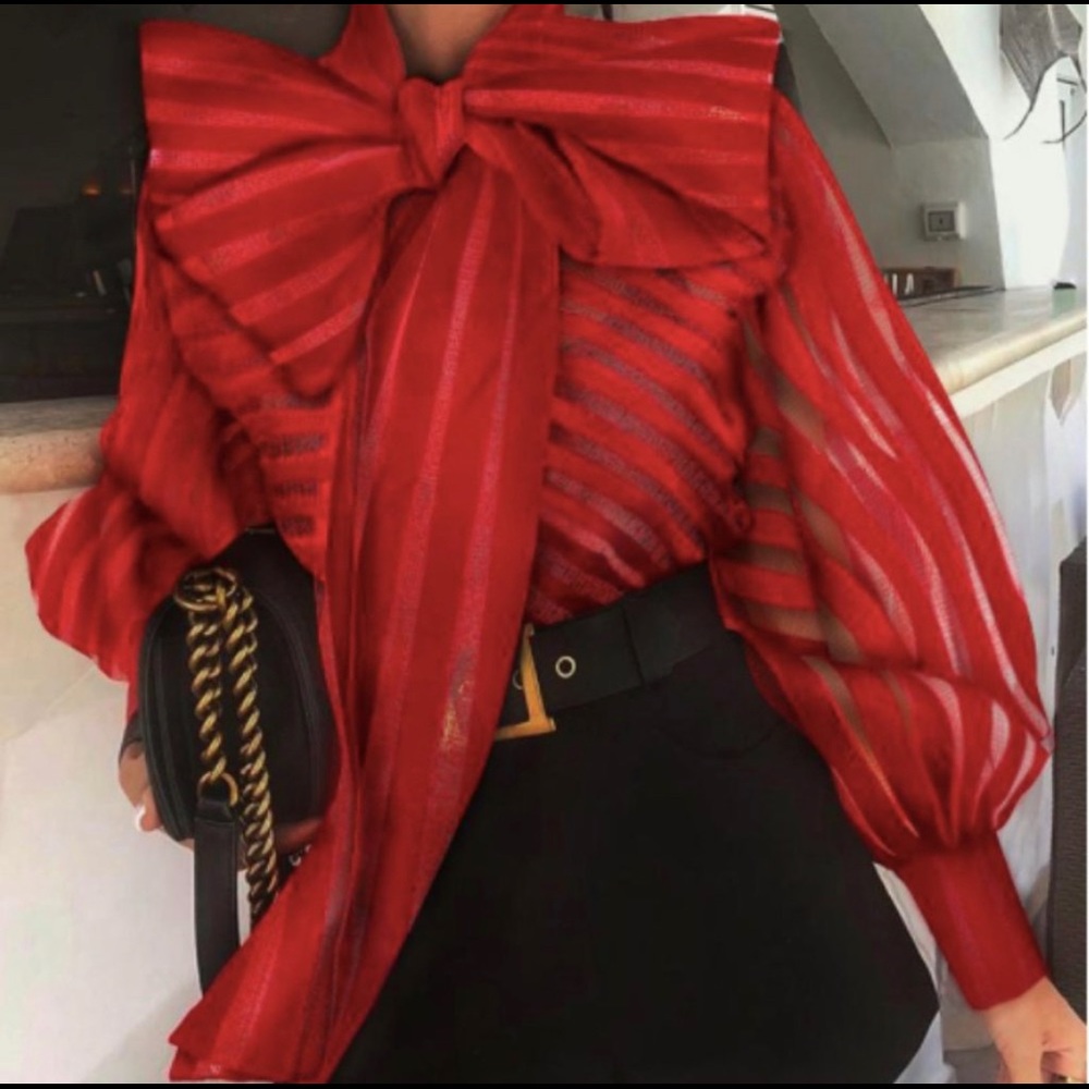 Sheer Blouse